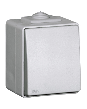 Rocker Push-button