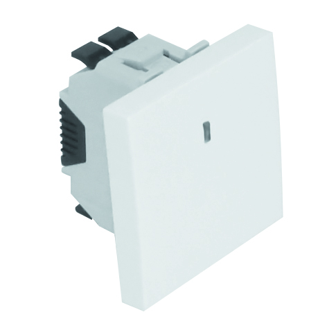 Poussoir à Bascule avec Témoin Indépendant (250V~) - 2 Modules