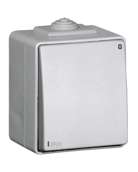 Two-pole Switch