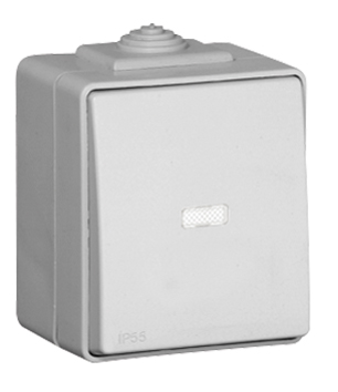 Single Pole Switch with Orienting Light